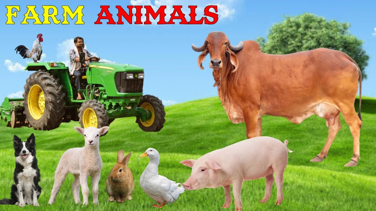 Aprenda os Sons dos Animais da Fazenda 🐄 - Diversão e Educação para Crianças