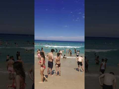 Best Beach In Sydney ~ Bondi Beach