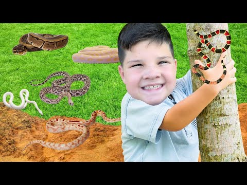 Caleb and Dad Look FOR SNAKES on our OUTDOOR BUG HUNT! Caleb Pretend Play