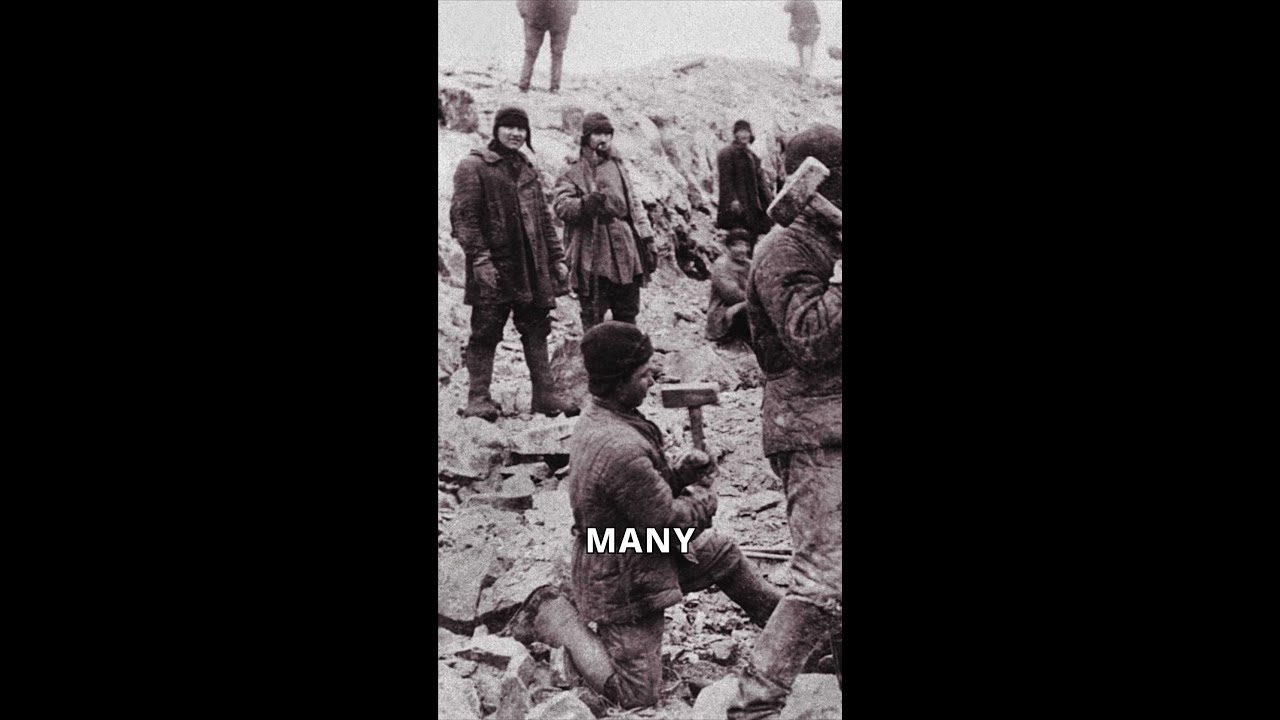 German POWs Lost in Soviet Labor Camps 🇩🇪