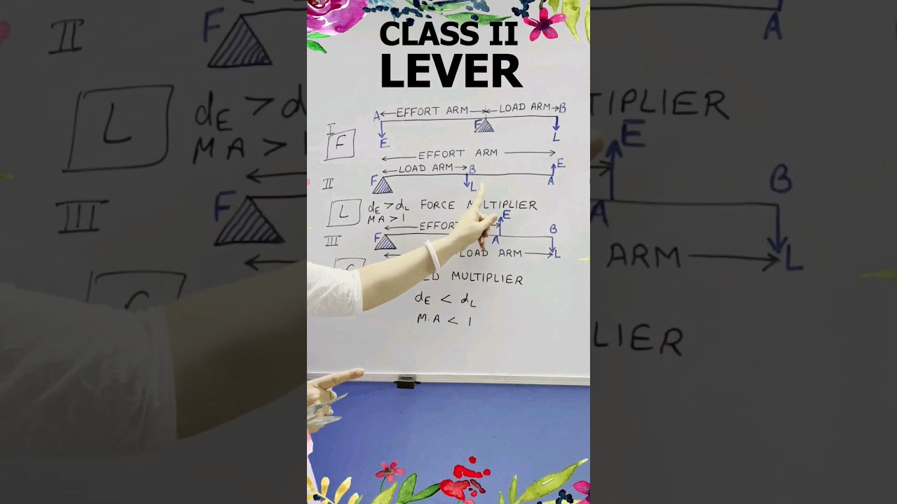Class II Lever: Machines & Live Examples 🔧