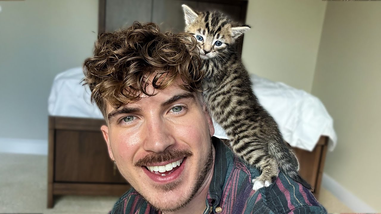 Last Days with the Kittens & 15% Off Phone Cases 🐾