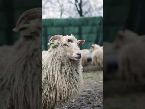 4632 Understanding the Numbers 4632 and 51424