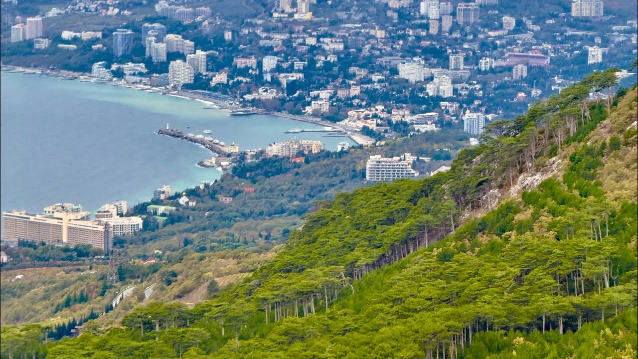 Бал Хризантем в Крыму 2025: Стоит ли ехать? 🌸