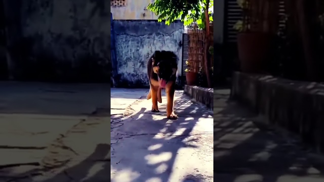 Acharya (2022) Full Movie | Ram Charan, Pooja Hegde | Hindi Dubbed Version