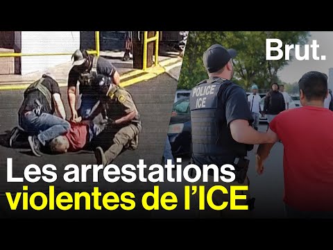 Lutte contre l’immigration clandestine aux États-Unis : incident choquant impliquant une femme et un agent de police de l’immigration