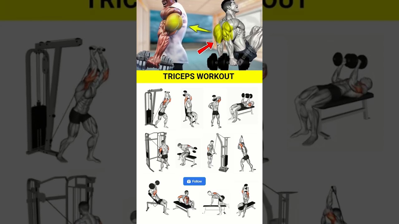 Powerful Triceps Workout 💪🏼