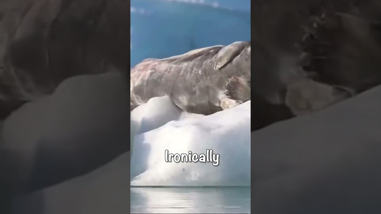 Norway's Renewable Energy Resources 🌿