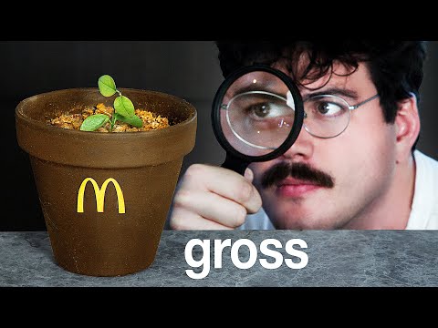 I Grew a Plant from Soil Made from Fast Food