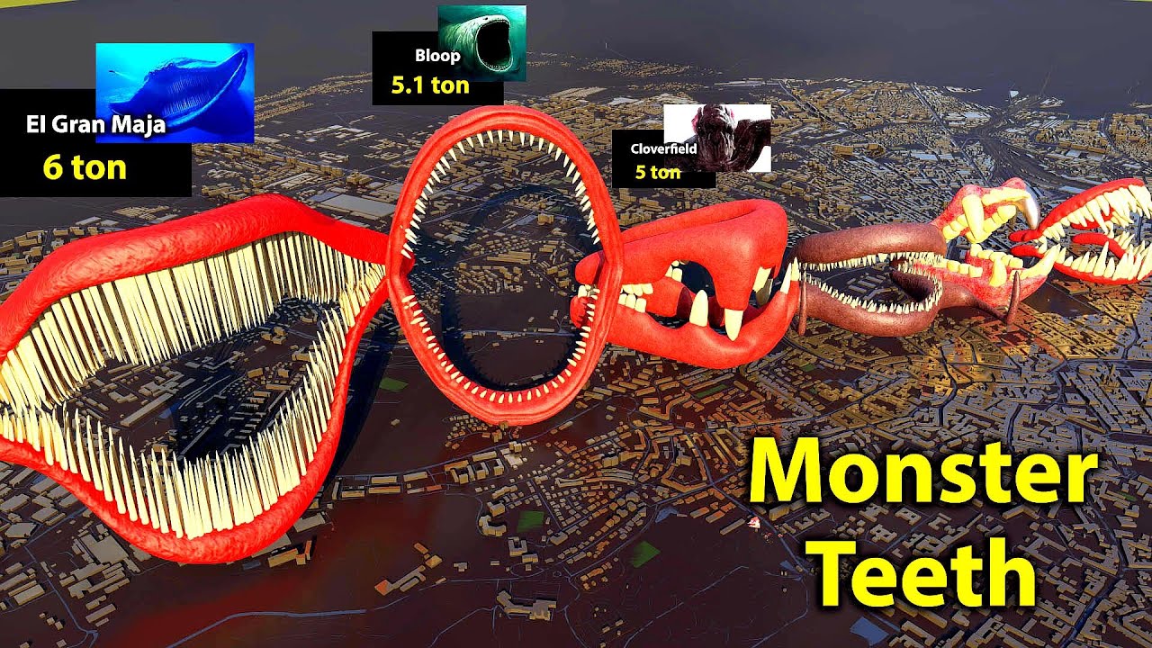 Monster Teeth Size Battle: Bloop vs El Gran Maja 👹