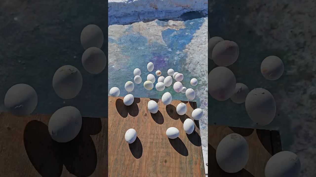 🎈Crushing Crunchy & Soft Things ! Breaking Glass Bottles🔥 #asmr #satisfying