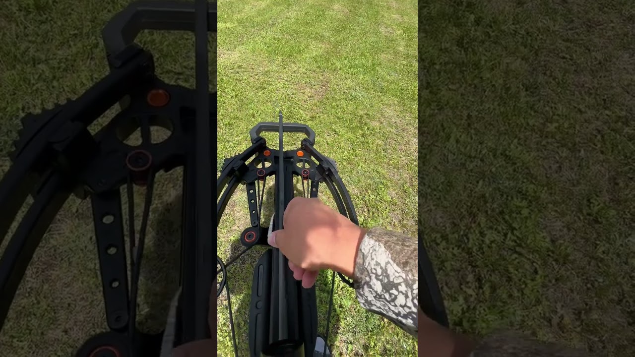 Top Crossbows to Watch in 2024: The Best Picks for Hunters and Enthusiasts 🏹