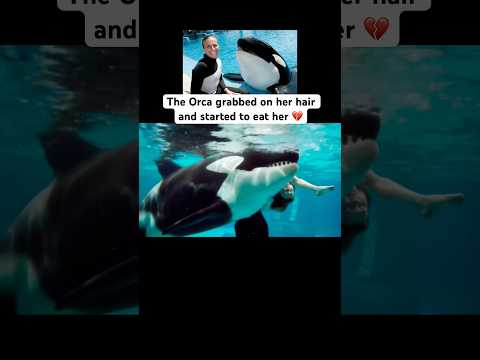 Captive Orca ends life of Trainer at SeaWorld
