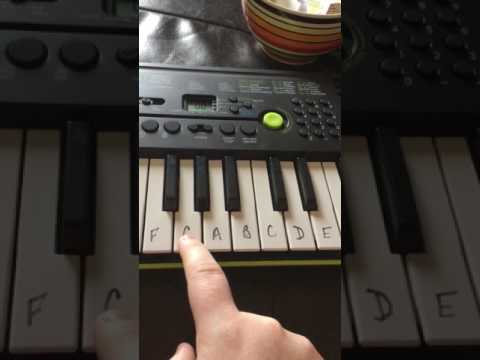How to play the Casio Sa-46 for beginners.