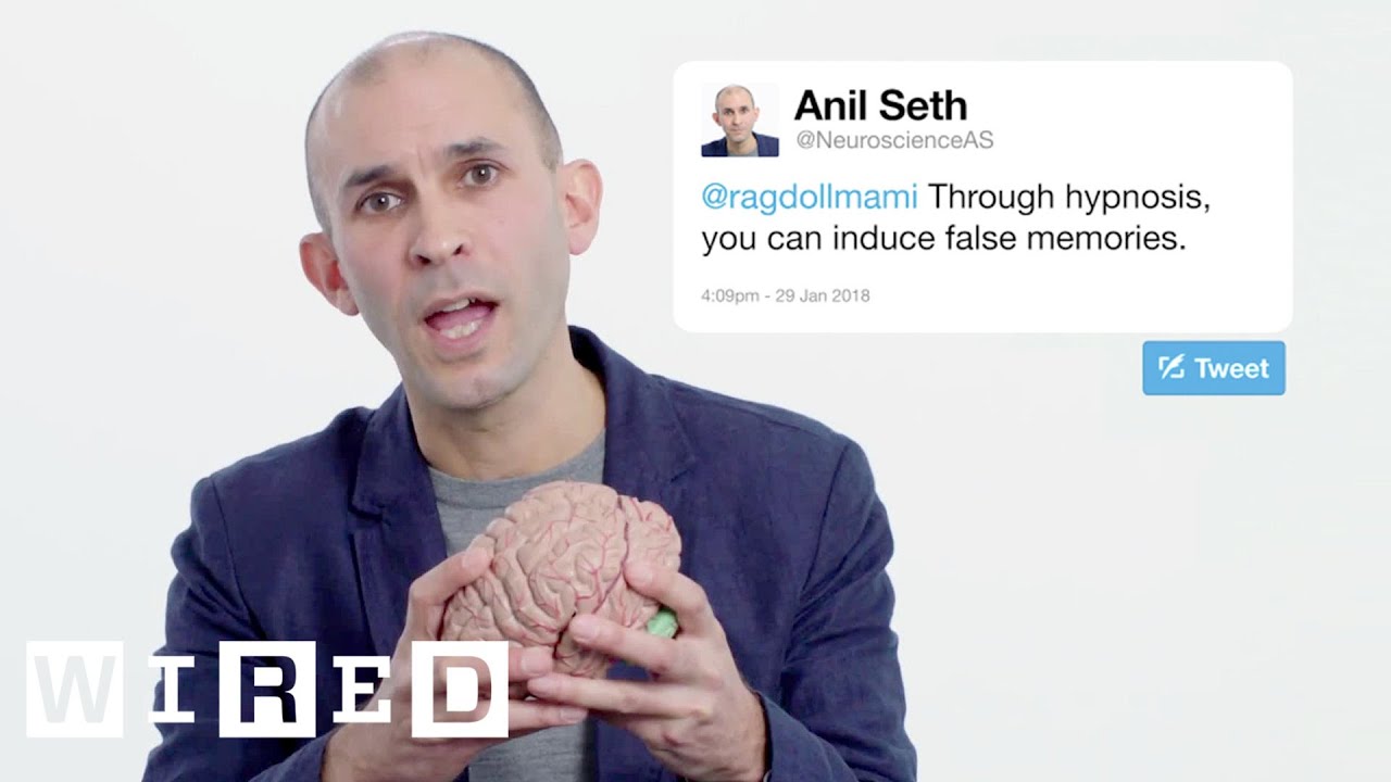 Anil Seth Answers Neuroscience Questions on Twitter 🧠