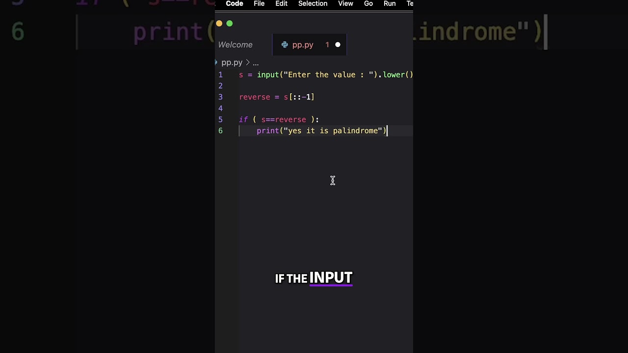 Checking Palindrome Strings in Python π