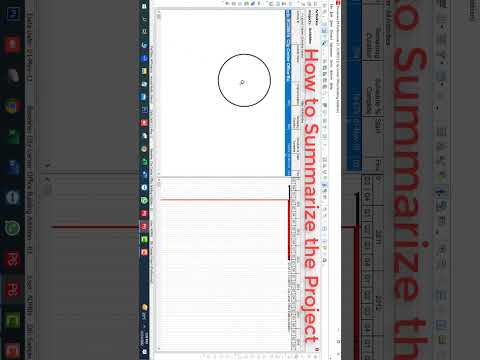 Primavera P6 Tips and Tricks #1 How to view a summary of a large Project #primavera #primaverap6