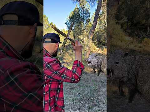 КАК ВЫЖИТЬ В ЛЕСУ #survival #выживание #adventure #survival #bushcraft