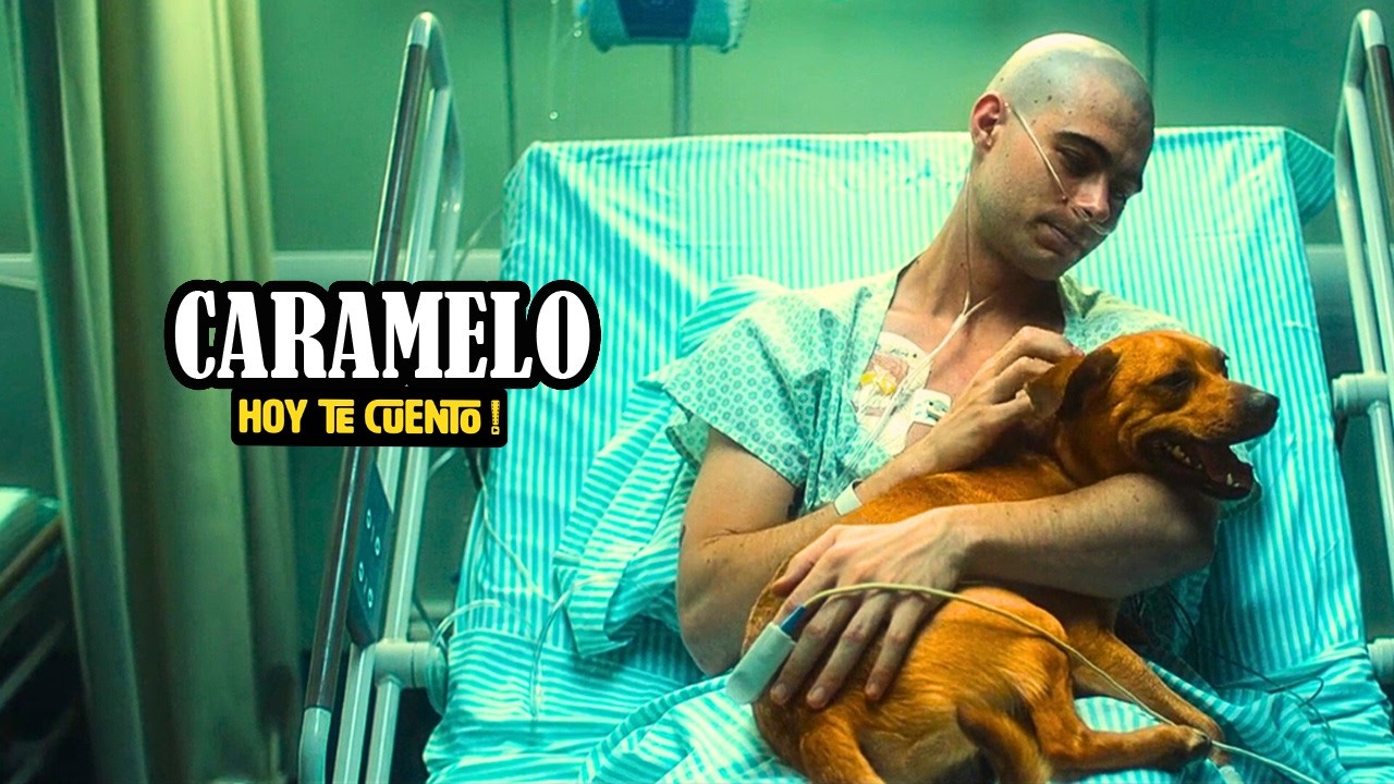 Perro ayuda a joven con cáncer en la película 'Caramelo' 🐶