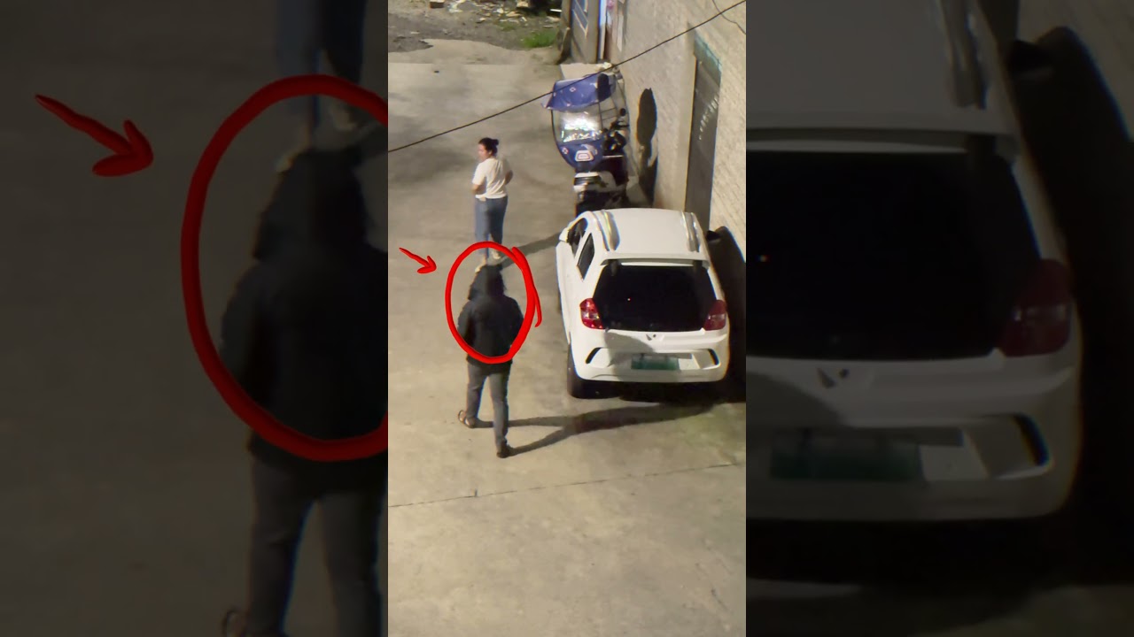 Ordinary Day, Extraordinary Support 🤝