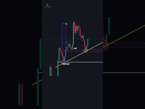 The Best Forex Trading Tips for Beginners