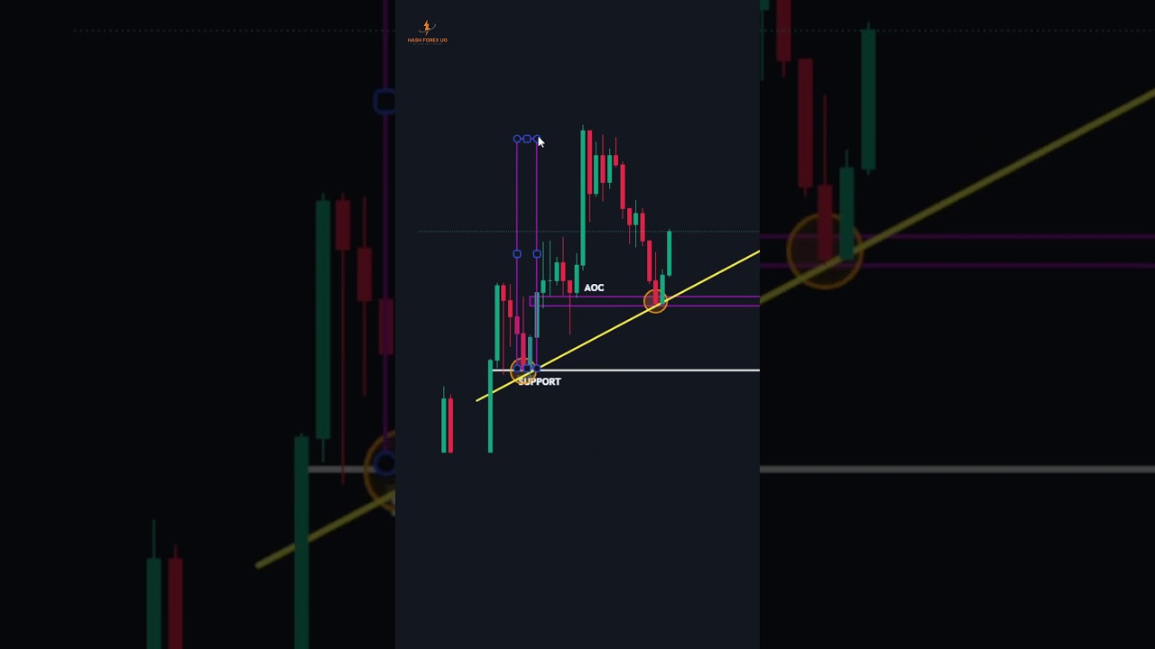 Top Forex Trading Tips Every Beginner Must Know 💡