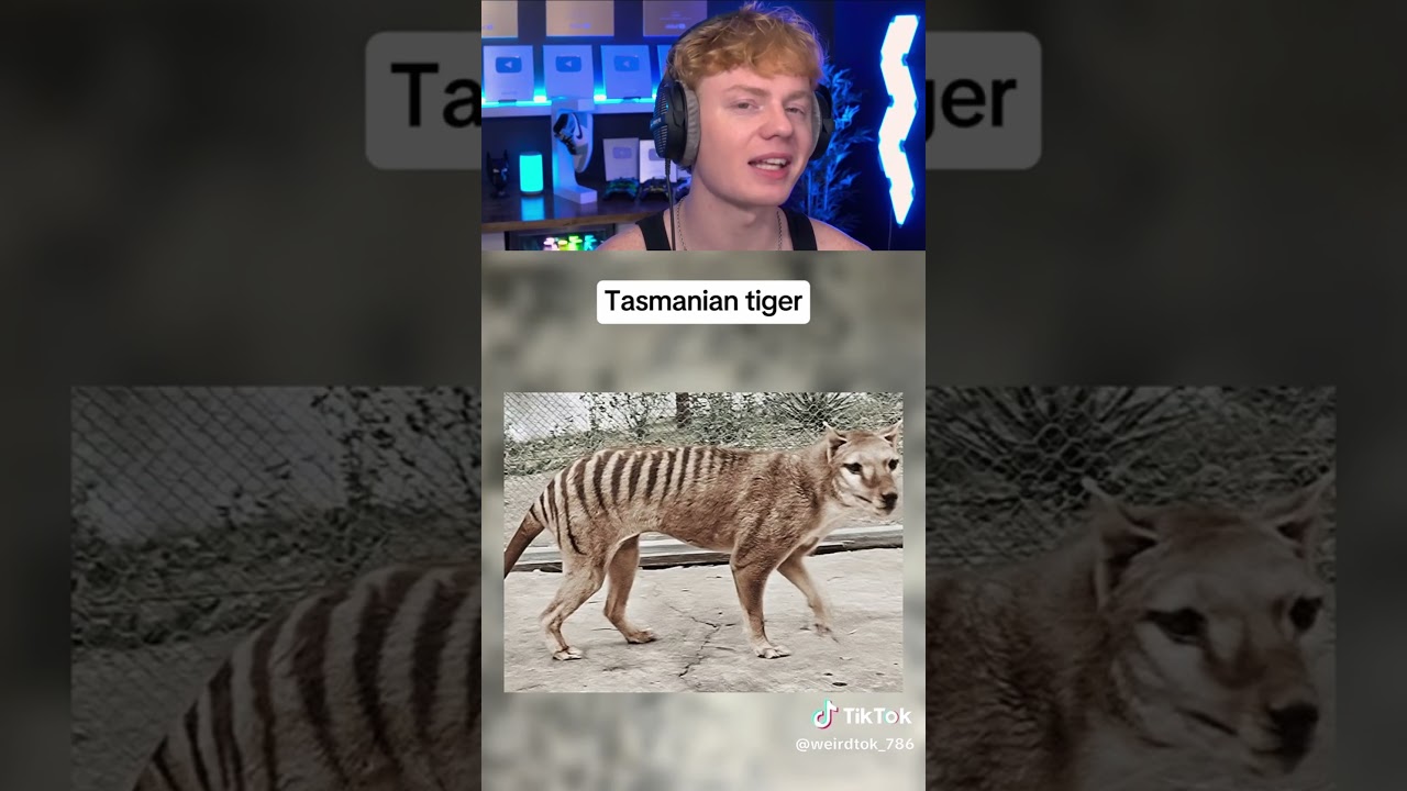 Extinct Animals Spotted on Camera! π±