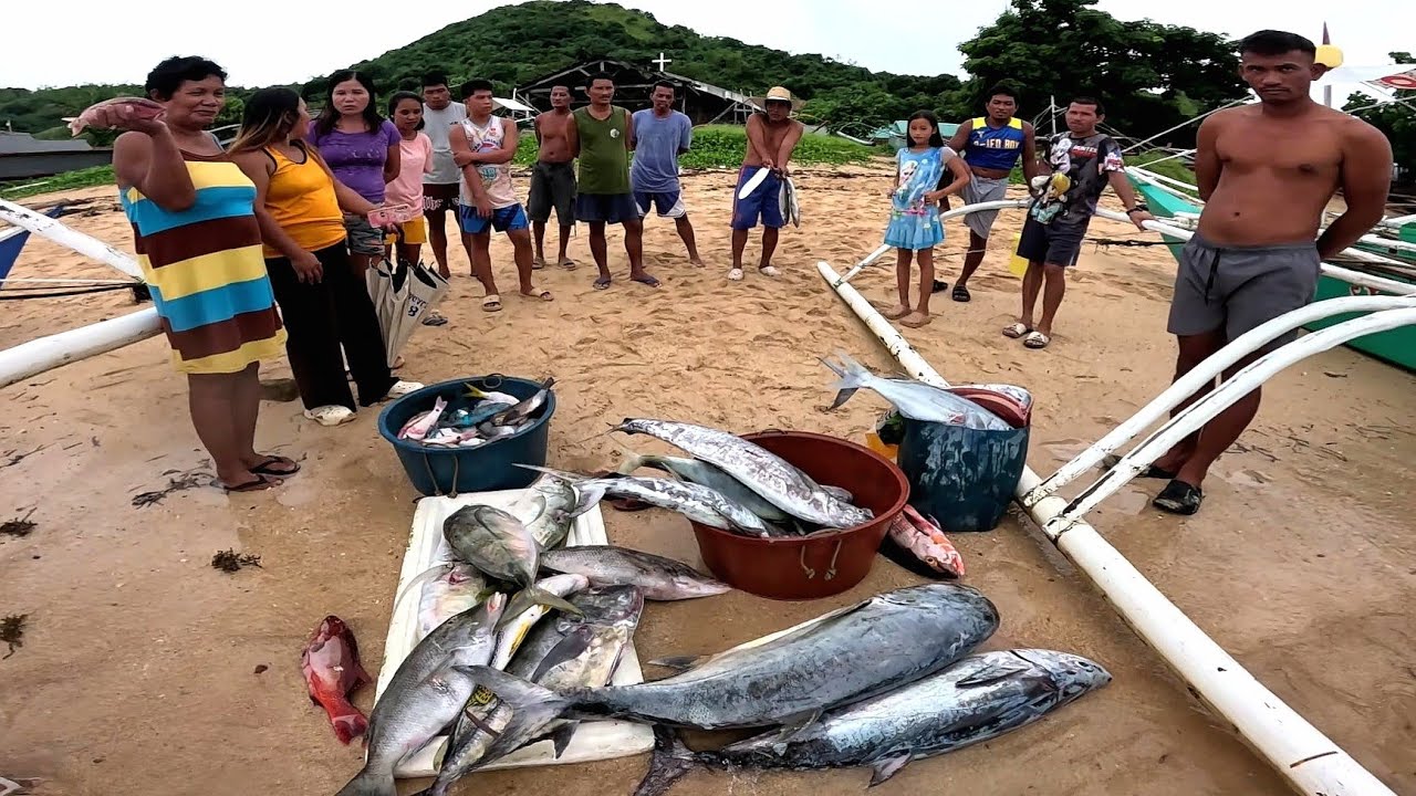 MGA MAMAW 🐟: Exciting Jackpot Fish Catch in New Spot! #SpearfishingPhilippines