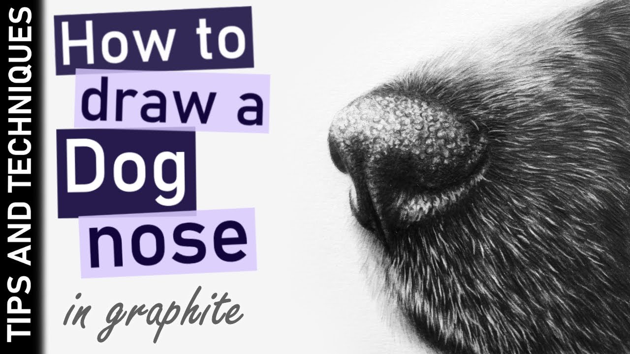 Drawing a Dog Nose & Realistic Fur in Graphite 🖋️
