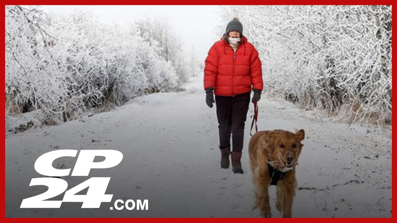 Toronto Faces Busy Weekend with Cold & Snow ❄️