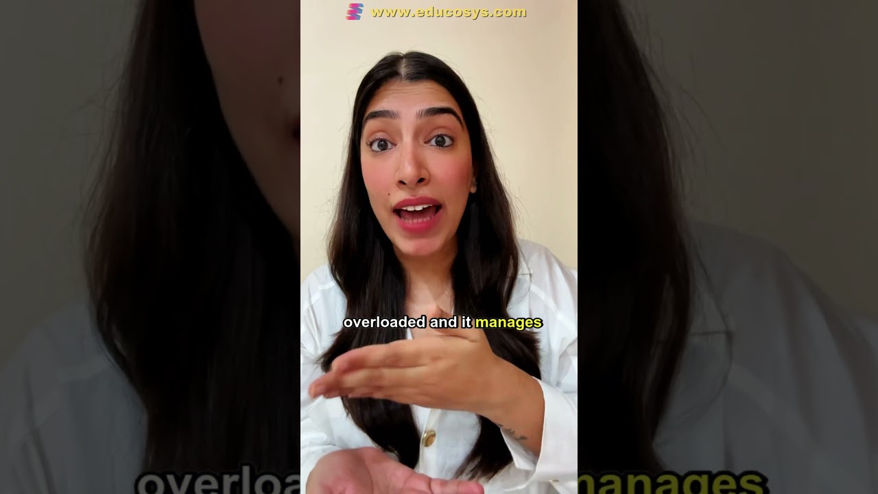 Load Balancer vs API Gateway: Key Differences Explained