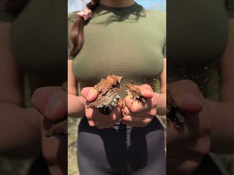 Women's survival Skills🔥🥫 #camping #survival #bushcraft #outdoors #lifehack