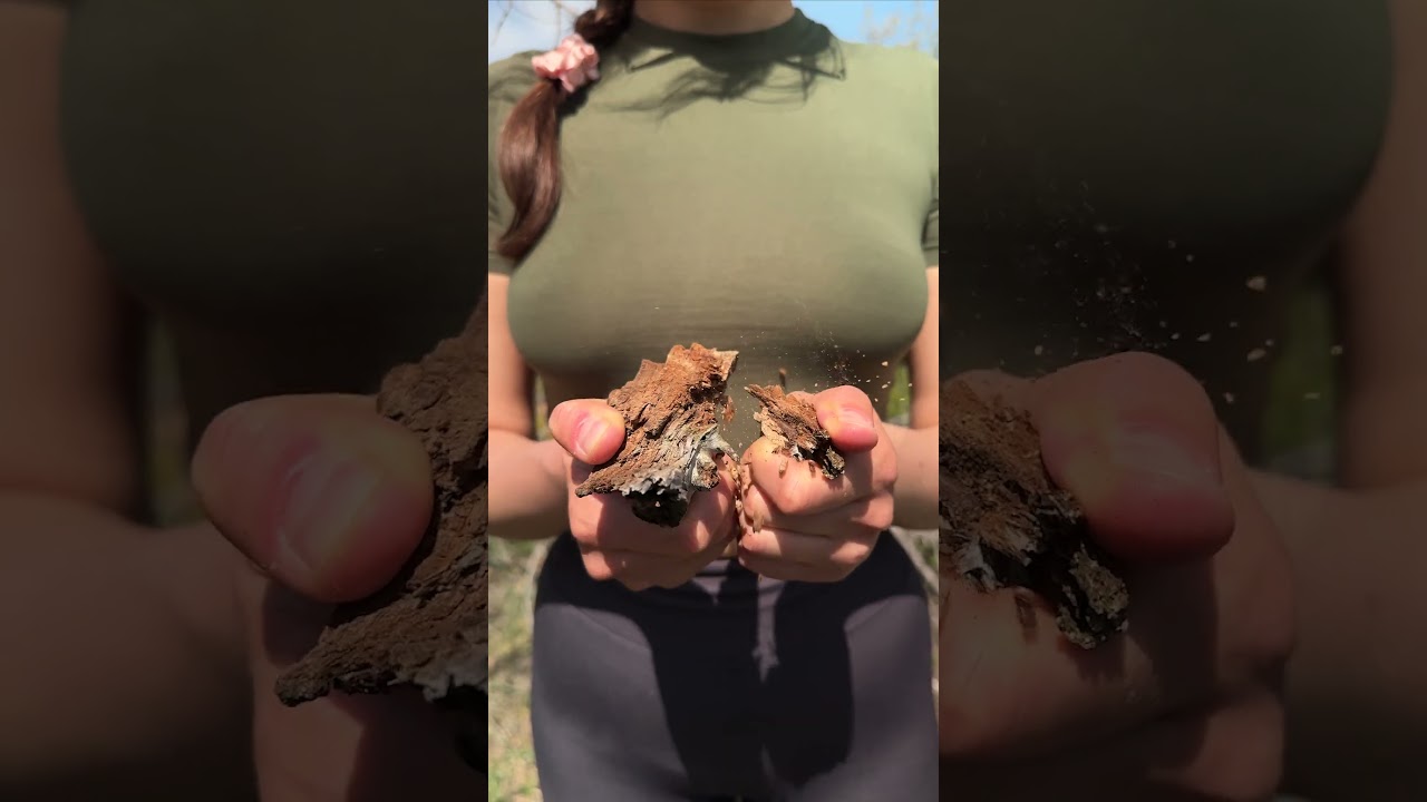 Master Essential Women's Survival Skills for Outdoor Adventures🔥🥫