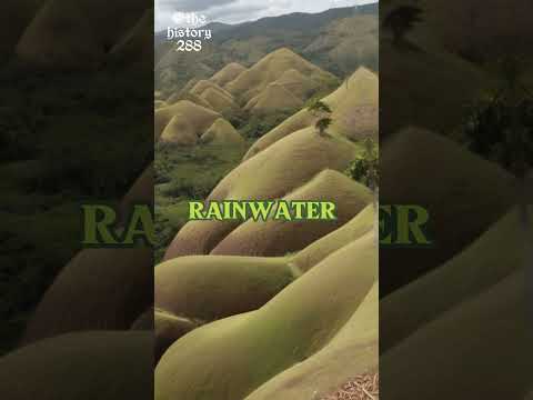 How Chocolate Hills Begin in Bohol Philippines #shorts