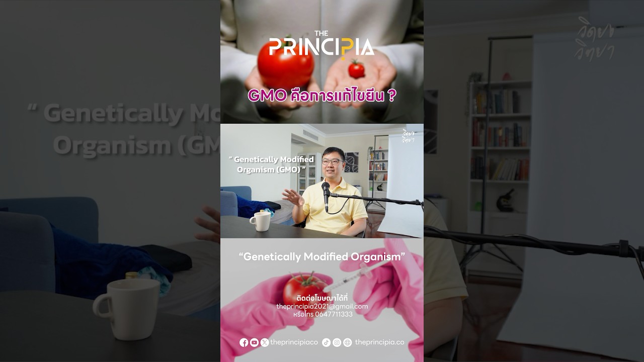 GMO คืออะไร? การแก้ไขยีนในพืชและสิ่งมีชีวิต