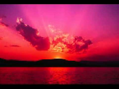 The Role of Computational Complexity in Modern Science (Practice)