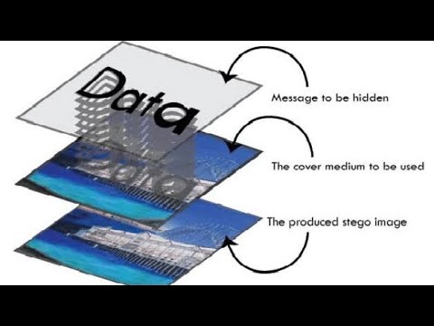 Complete Hindi Course on Steganography with Special Discount 🎯