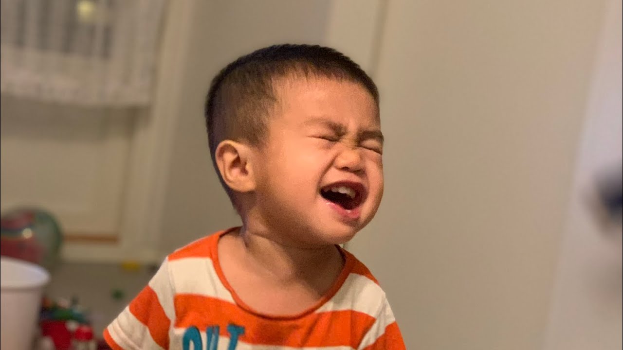 Plei SR B 00 - Brief Description