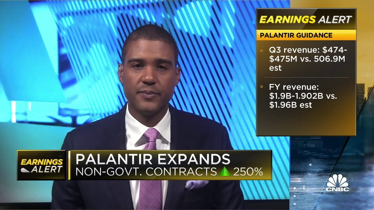 Palantir Shares Drop Despite Revenue Beat in Q2 Earnings 📉