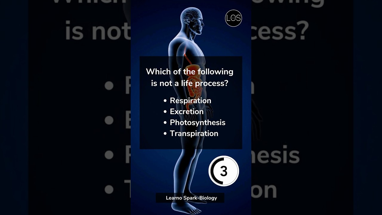 Class 10 Science Biology MCQs on Life Processes 🧬 | CBSE Exam Preparation