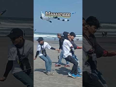 Jogja International Kite Festival 2024 #parangkusumo #layangan #festival #pantai @Aswin_ch