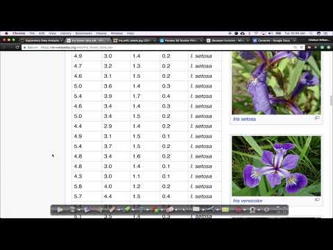 Exploratory Data Analysis 01 Simple Plotting Tools | Iris Dataset EDA | AI Experiments