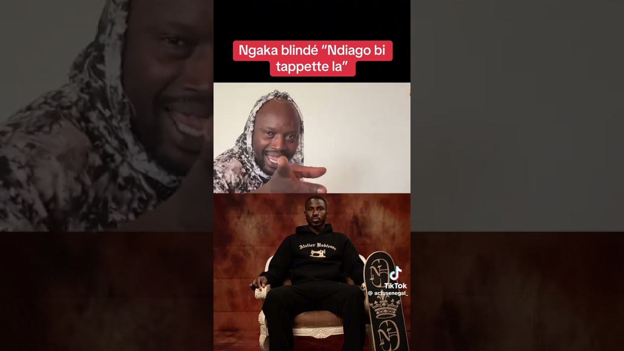 Dipdo: Humour et Sensibilité 🤣