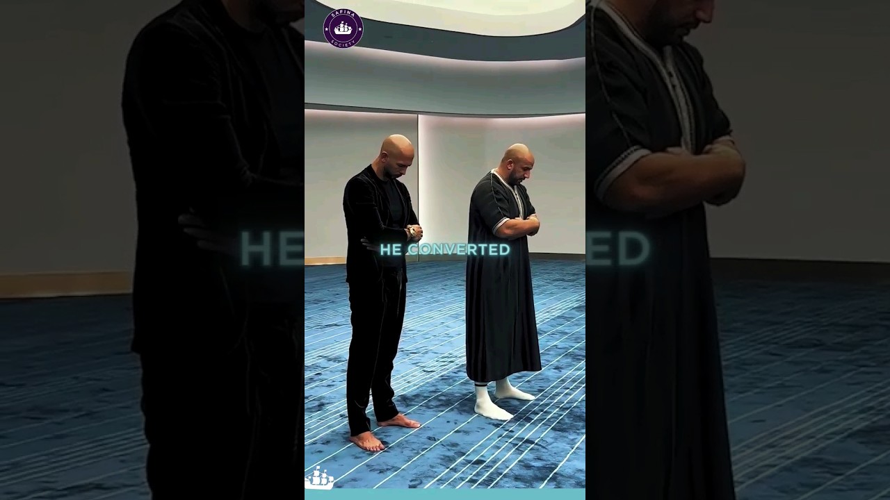 Dr. Shadee Elmasry on Andrew Tate