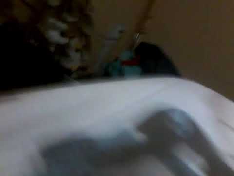 Untitled Text with Random Characters