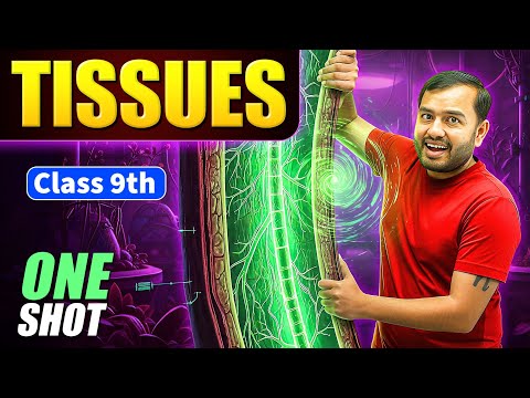 Tissues Class 9 | Complete CHAPTER IN ONE SHOT | NCERT Covered | Alakh Pandey