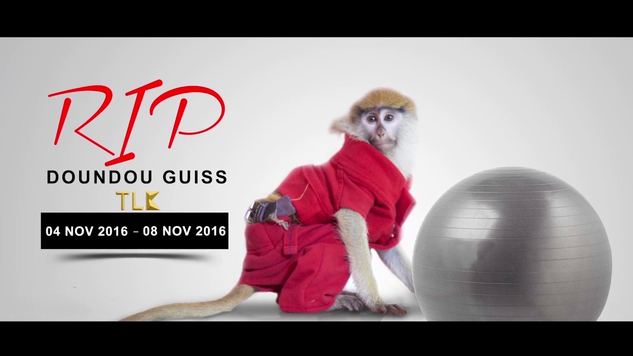 Omzo Dollar Returns with 'TLK (Partie 2)' 🎶 – Hbomb Production & Response to Dip Doundou Bitch