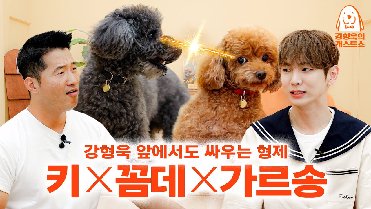 샤이니 키, 애들 싸움 말리며 훈훈한 조언 🎤