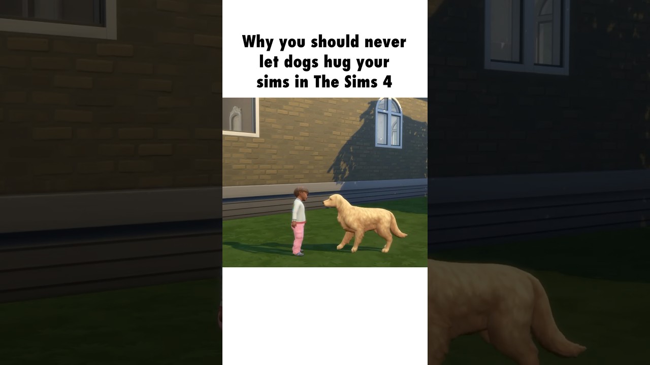 Avoid Letting Dogs Hug Your Sims in The Sims 4 🐶