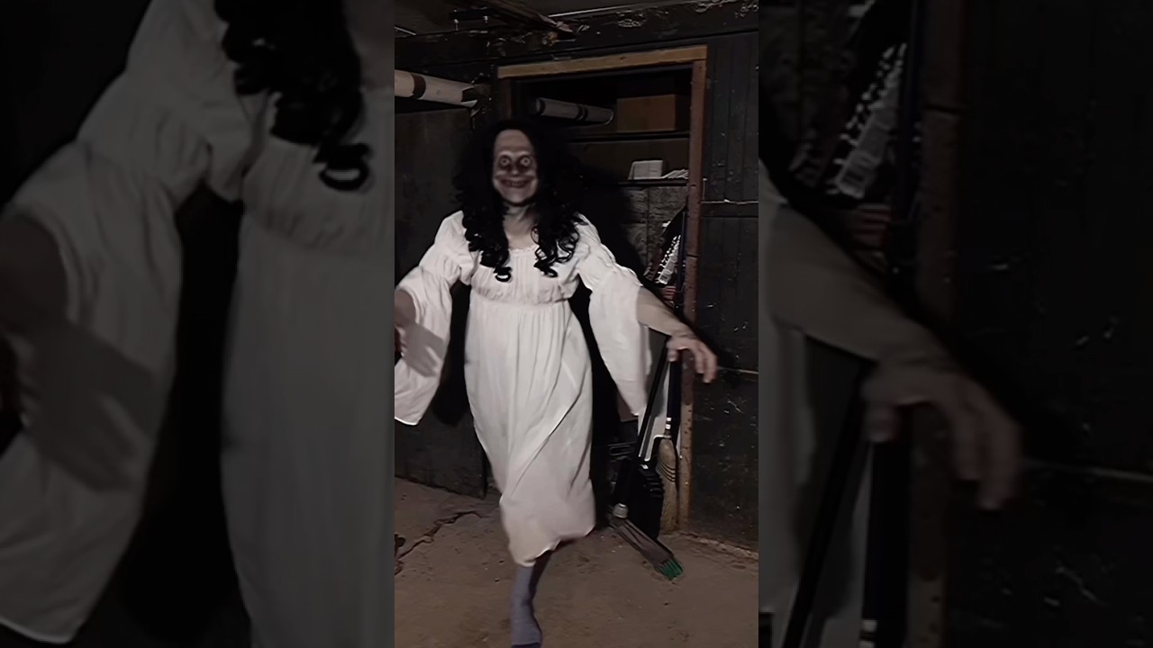 My Basement Is Not Safe 🕷️